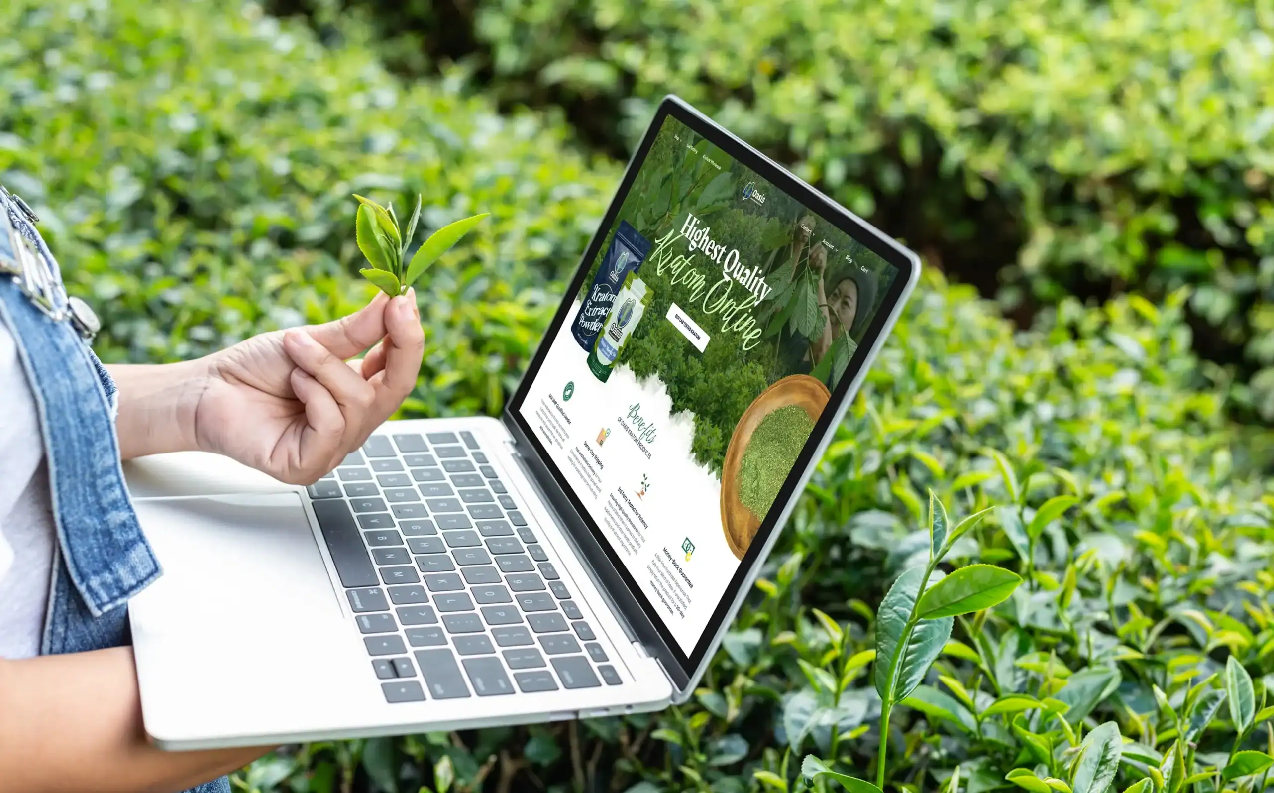 E-commerce SEO Agency for Scalable Revenue Growth