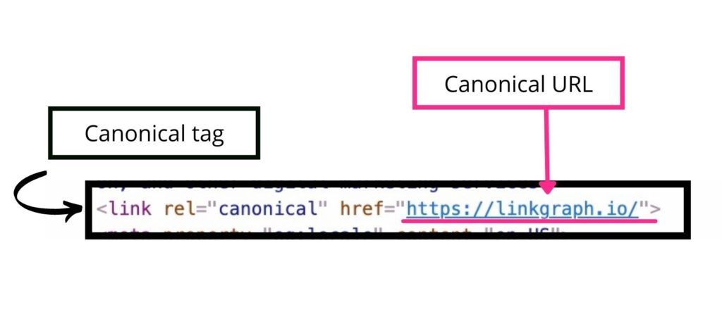 a canonical tag vs canonical URL