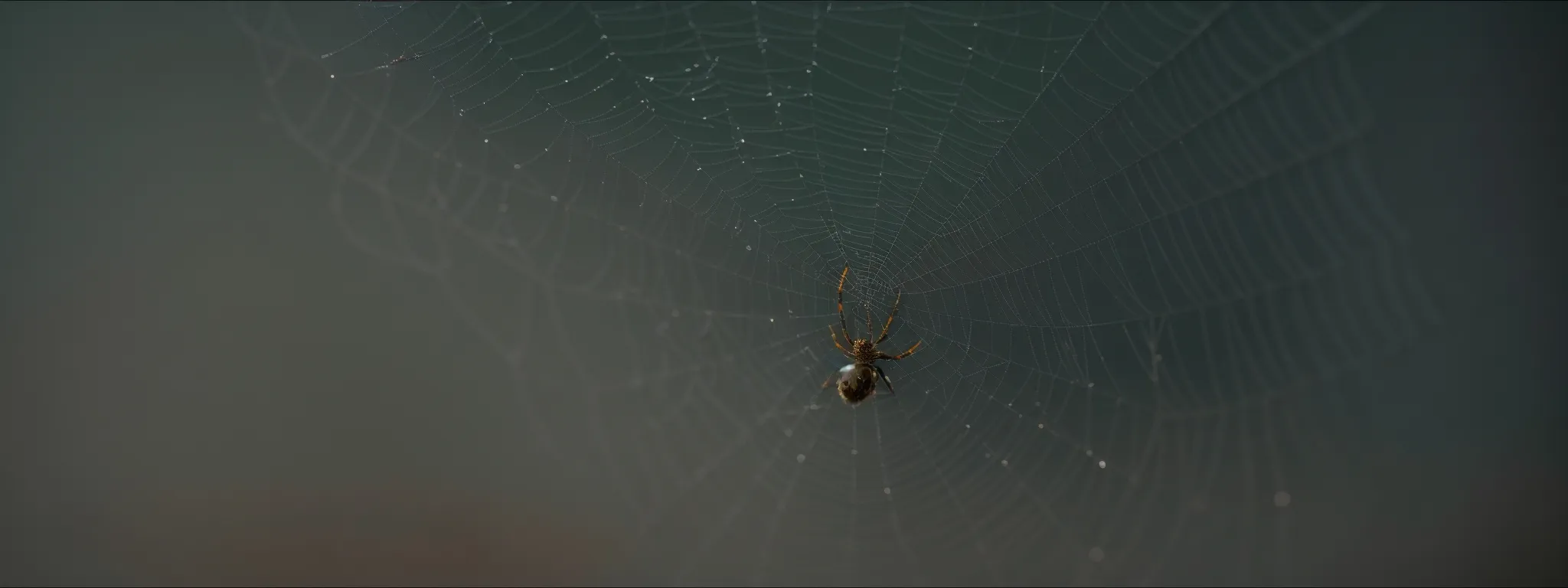 a spider weaving an intricate web that channels towards a central hub.