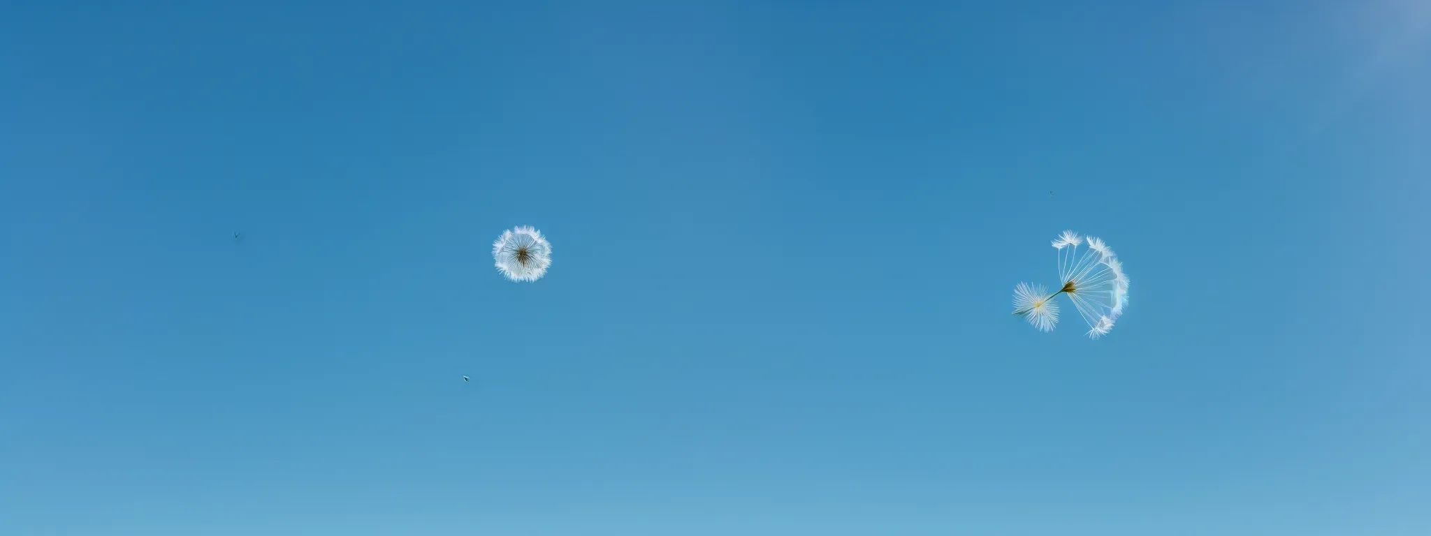a lone dandelion seed flying against a vast, clear blue sky, symbolizing growth and potential with minimal resources.