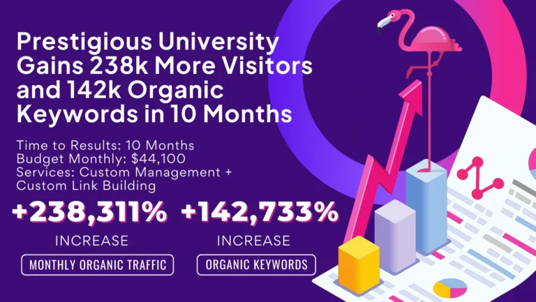Illustration with flamingo and graphs showing a university's significant increase in organic traffic and keywords, thanks to improved SEO strategies over 10 months, highlighting budget and services.